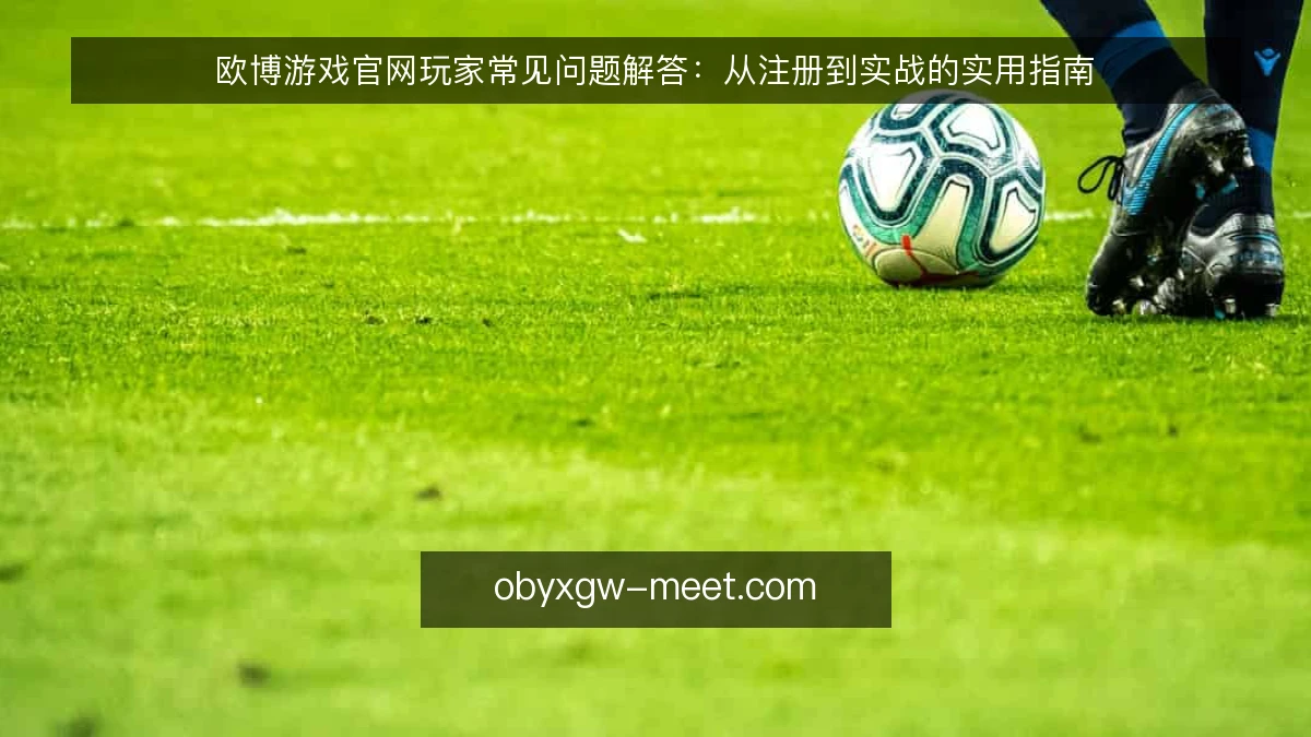 欧博游戏官网玩家常见问题解答:从注册到实战的实用指南
