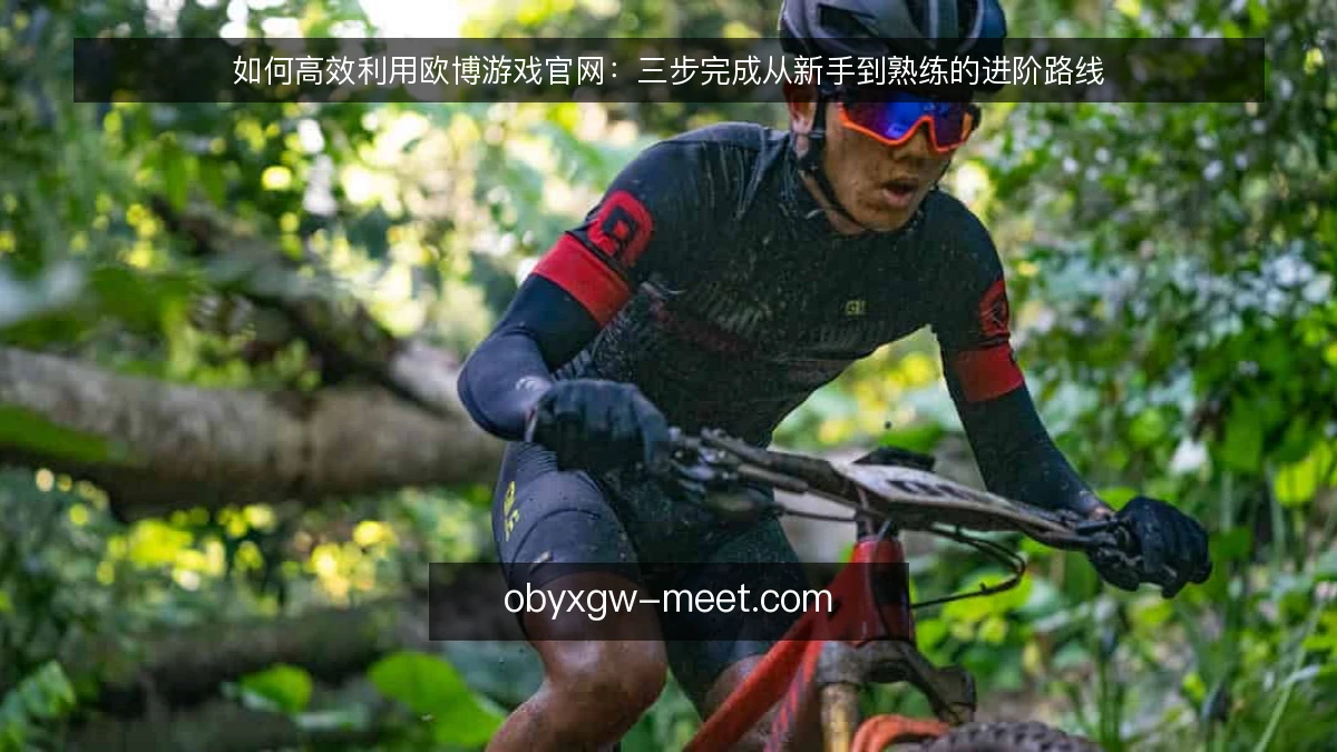 如何高效利用欧博游戏官网:三步完成从新手到熟练的进阶路线