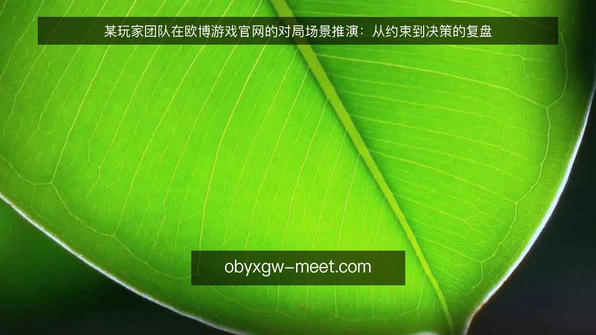 某玩家团队在欧博游戏官网的对局场景推演：从约束到决策的复盘