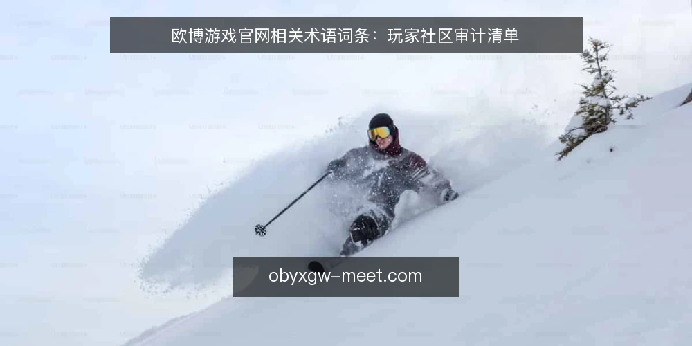 欧博游戏官网相关术语词条:玩家社区审计清单 — 为何现在审计术语理解 配图