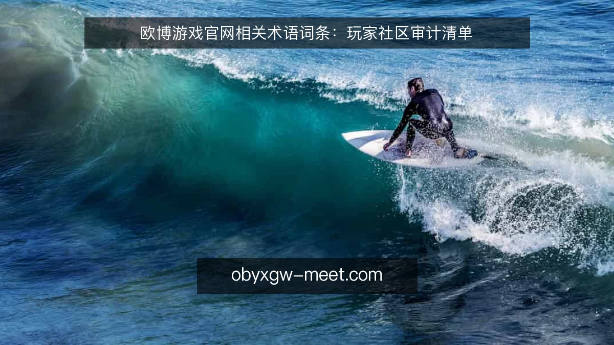 欧博游戏官网相关术语词条:玩家社区审计清单