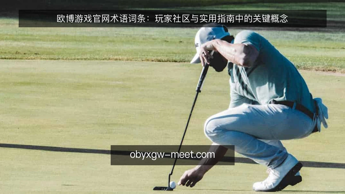欧博游戏官网术语词条:玩家社区与实用指南中的关键概念