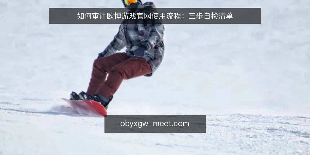 如何审计欧博游戏官网使用流程：三步自检清单 — 第一步：审计前的准备与范围界定 配图