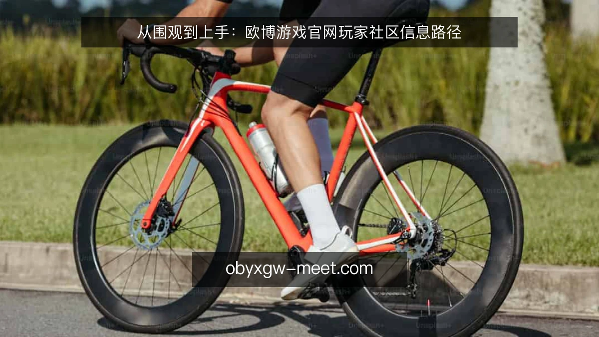 从围观到上手:欧博游戏官网玩家社区信息路径