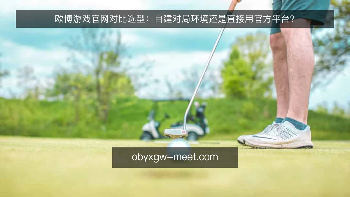 欧博游戏官网对比选型:自建对局环境还是直接用官方平台?